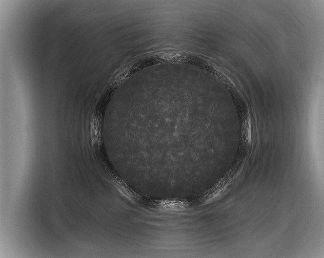 X0000116440234200912151246