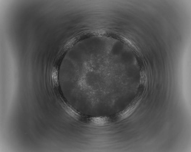 X0000116440238200912151246