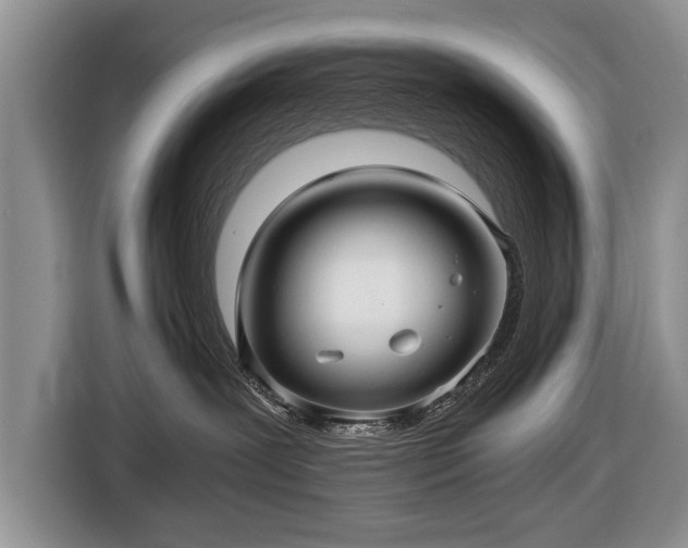 X0000116440239200912151246
