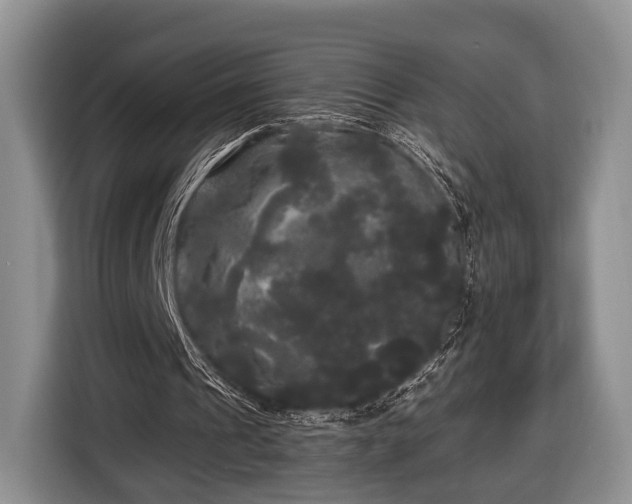 X0000116440241200912151246