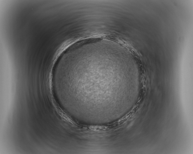 X0000116440242200912151246