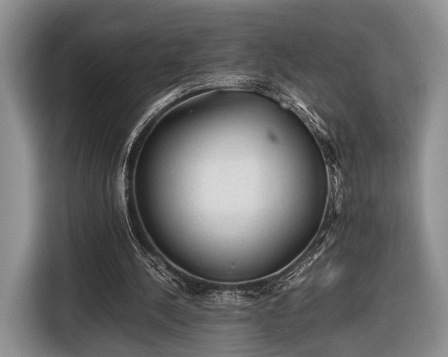 X0000116440244200912151246