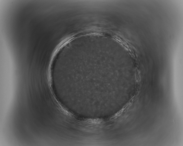 X0000116440245200912151246