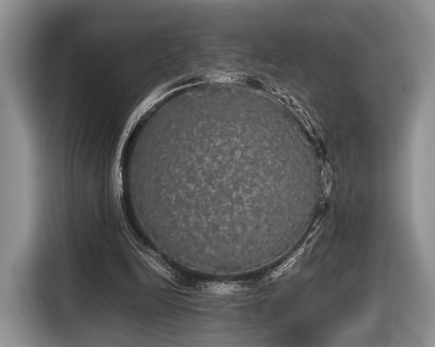 X0000116440246200912151246