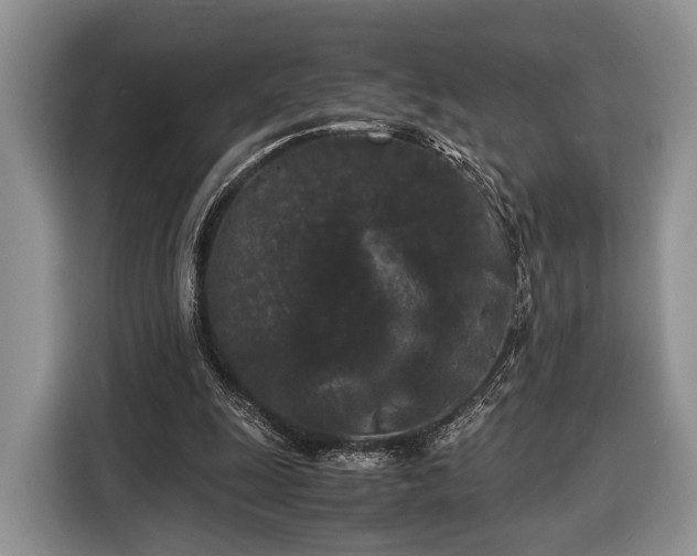X0000116440247200912151246