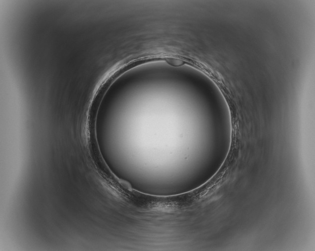 X0000116440248200912151246