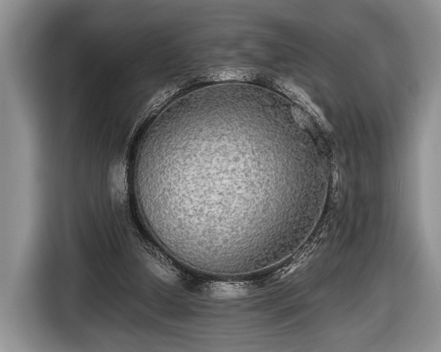 X0000116440250200912151246
