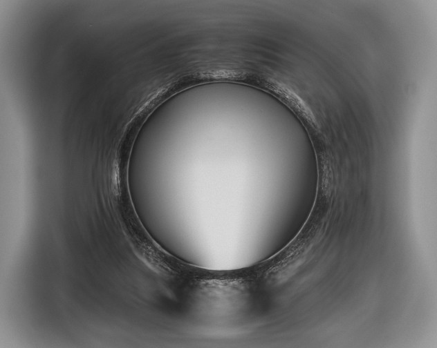 X0000116440251200912151246