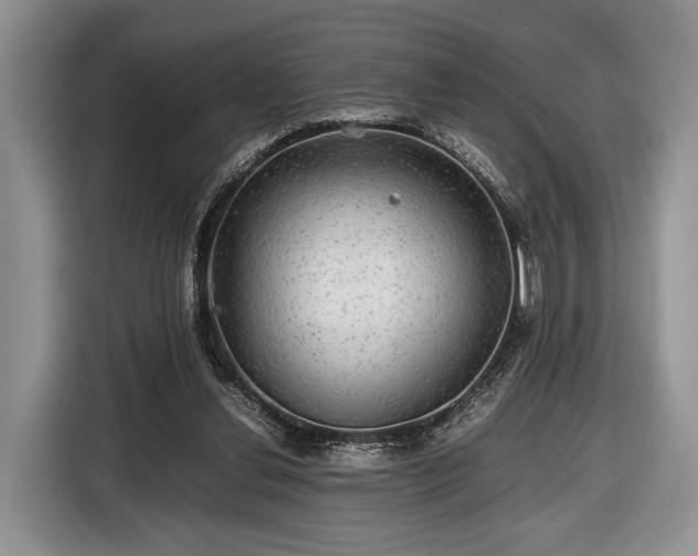 X0000116440252200912151246