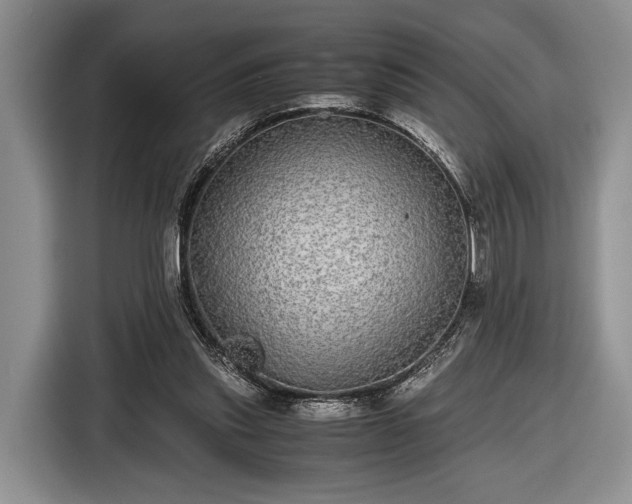 X0000116440253200912151246