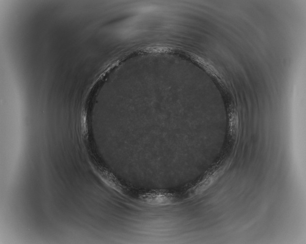 X0000116440254200912151246