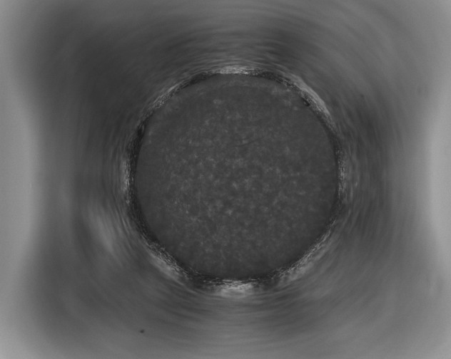 X0000116440257200912151246