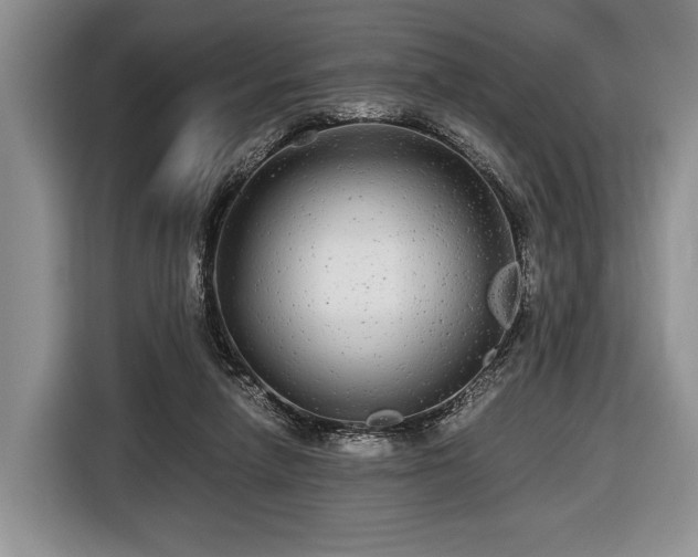 X0000116440258200912151246