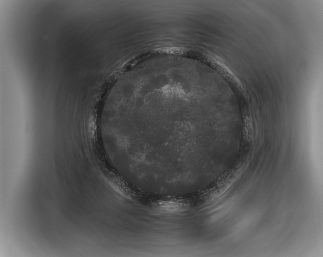 X0000116440259200912151246
