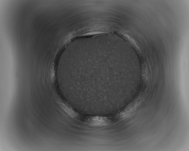 X0000116440261200912151246
