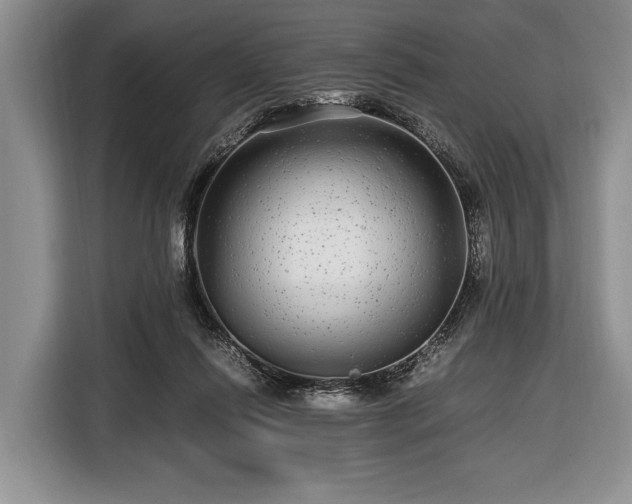X0000116440262200912151246