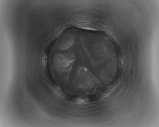X0000116440263200912151246