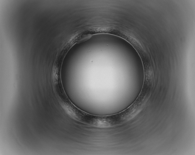 X0000116440264200912151246