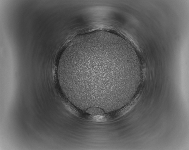 X0000116440265200912151246