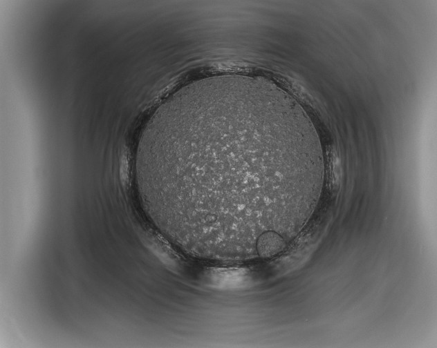 X0000116440266200912151246