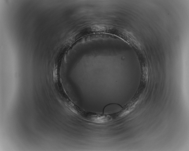 X0000116440267200912151246