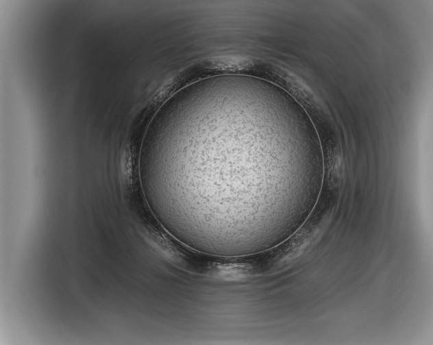 X0000116440268200912151246
