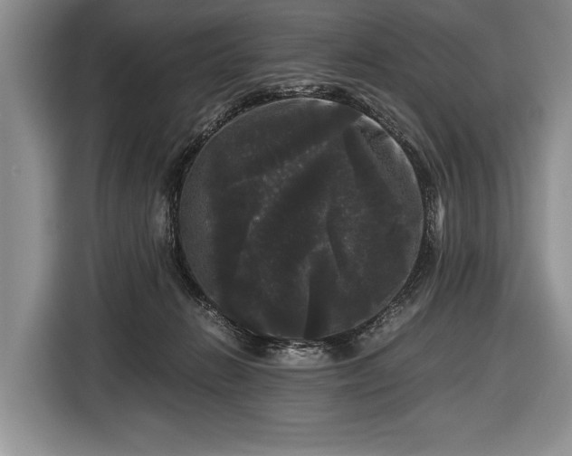 X0000116440270200912151246