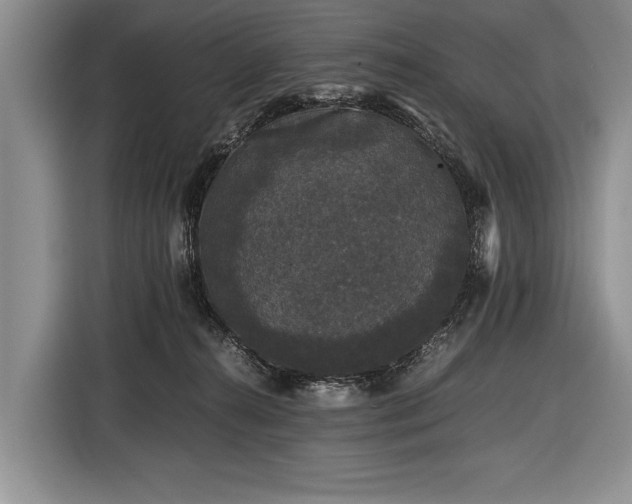 X0000116440272200912151246