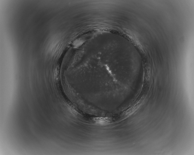 X0000116440273200912151246