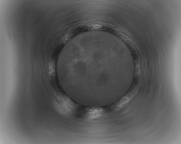 X0000116440274200912151246