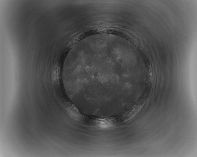X0000116440275200912151246