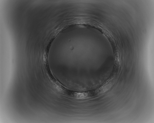 X0000116440277200912151246
