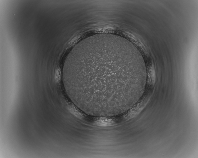 X0000116440278200912151246