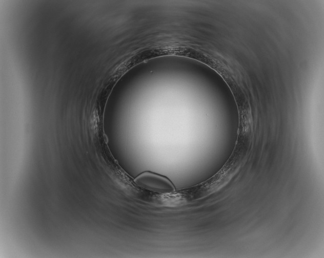 X0000116440279200912151246
