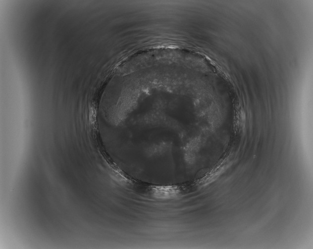 X0000116440281200912151246