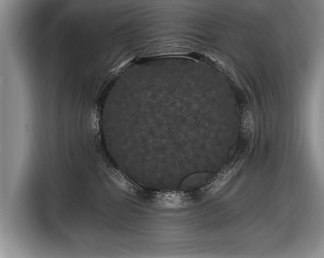 X0000116440282200912151246