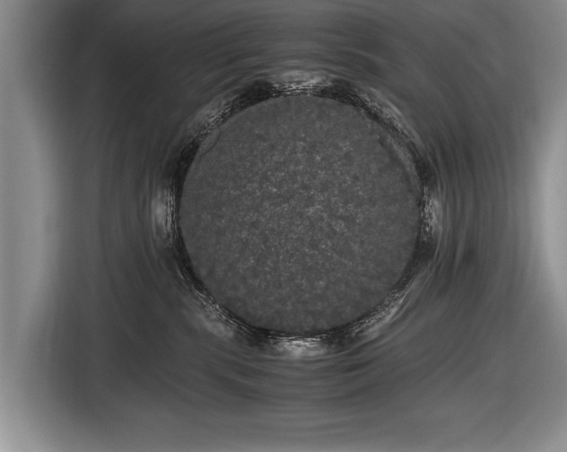 X0000116440283200912151246