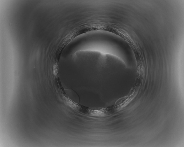 X0000116440285200912151246