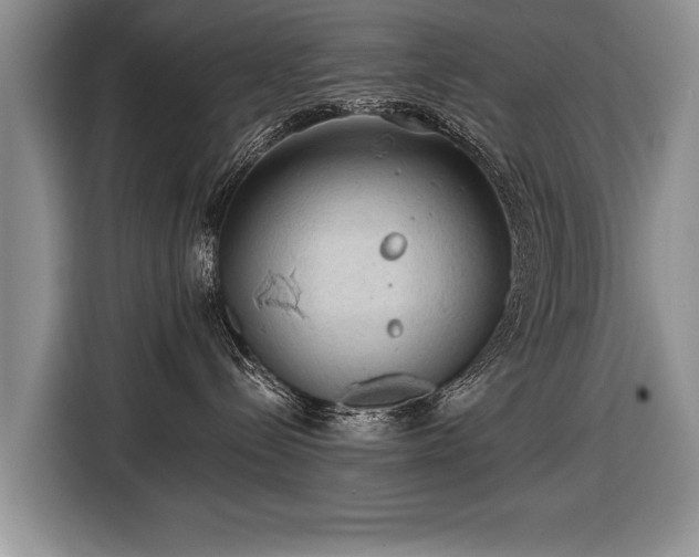 X0000116440288200912151246
