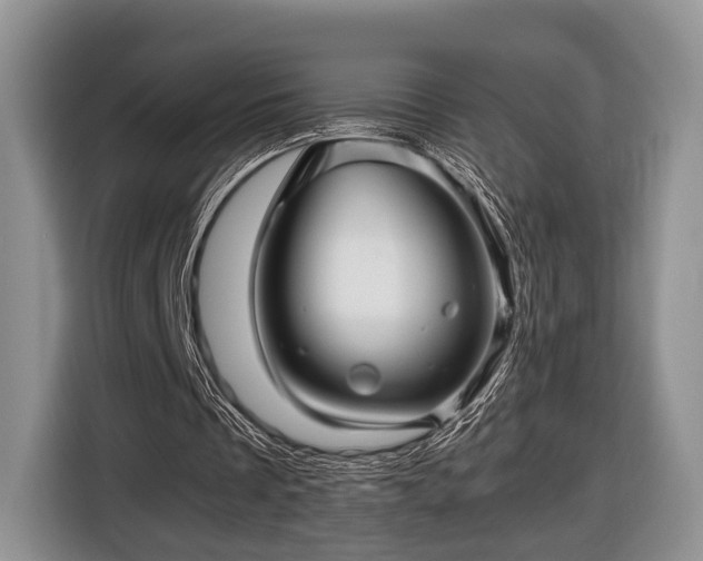 X0000116440289200912151245