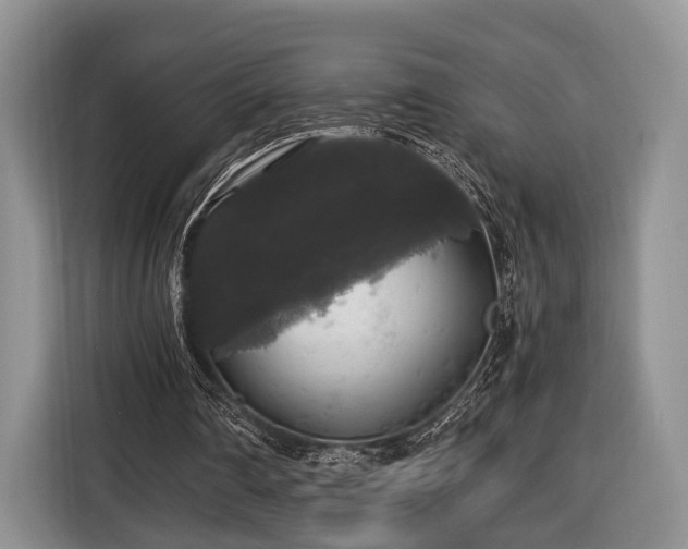 X0000116440290200912151245