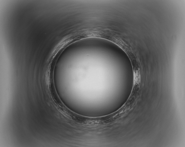 X0000116440291200912151245