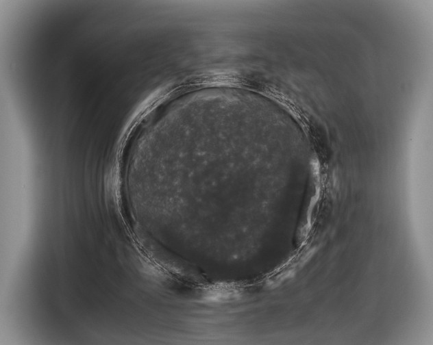 X0000116440293200912151245
