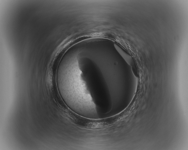 X0000116440295200912151245
