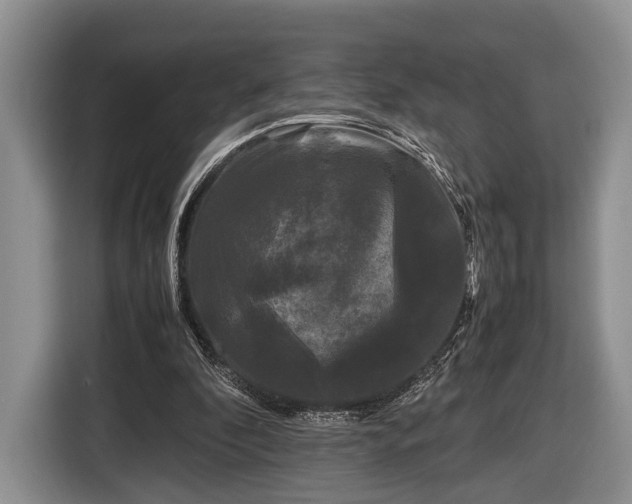 X0000116440296200912151245