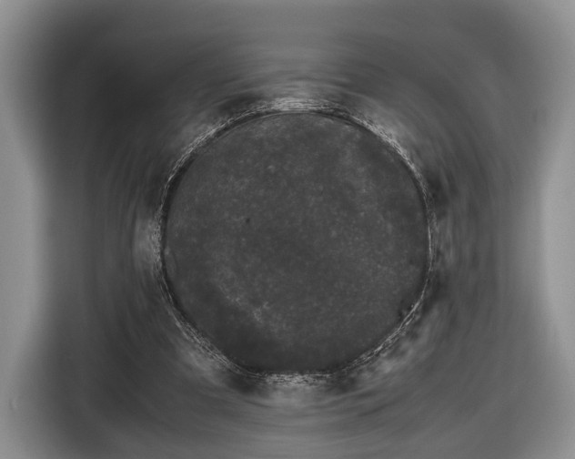 X0000116440297200912151245