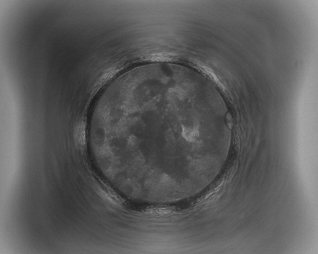 X0000116440299200912151245
