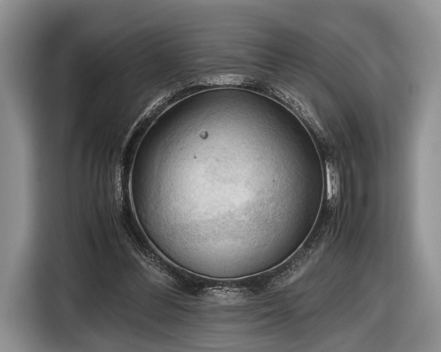 X0000116440300200912151245