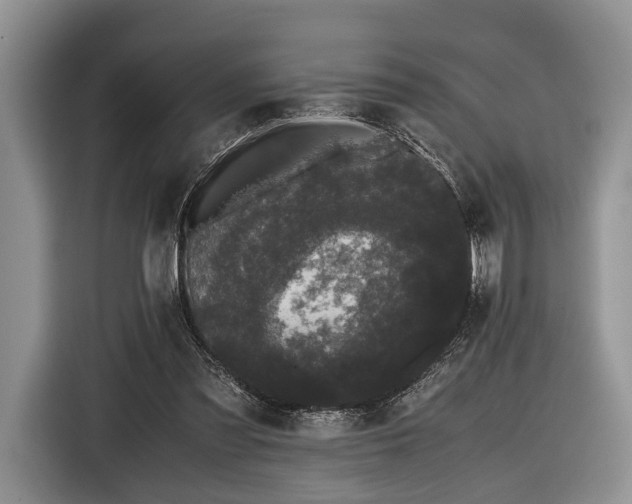X0000116440301200912151245