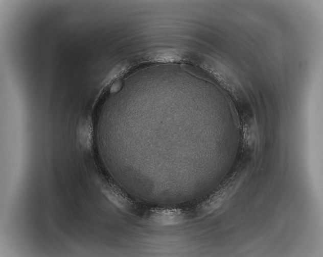 X0000116440304200912151245